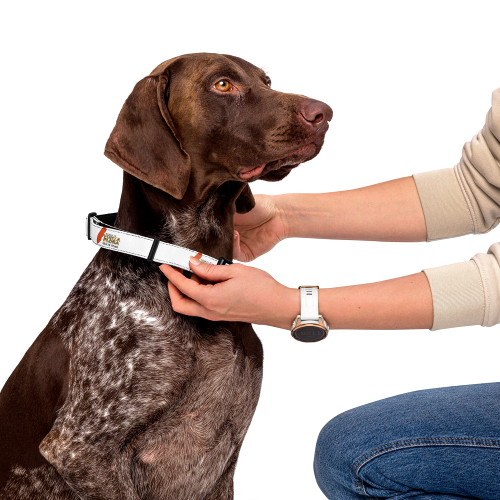 pet-collar-white-l-front-6a0b17ec9e15f.png