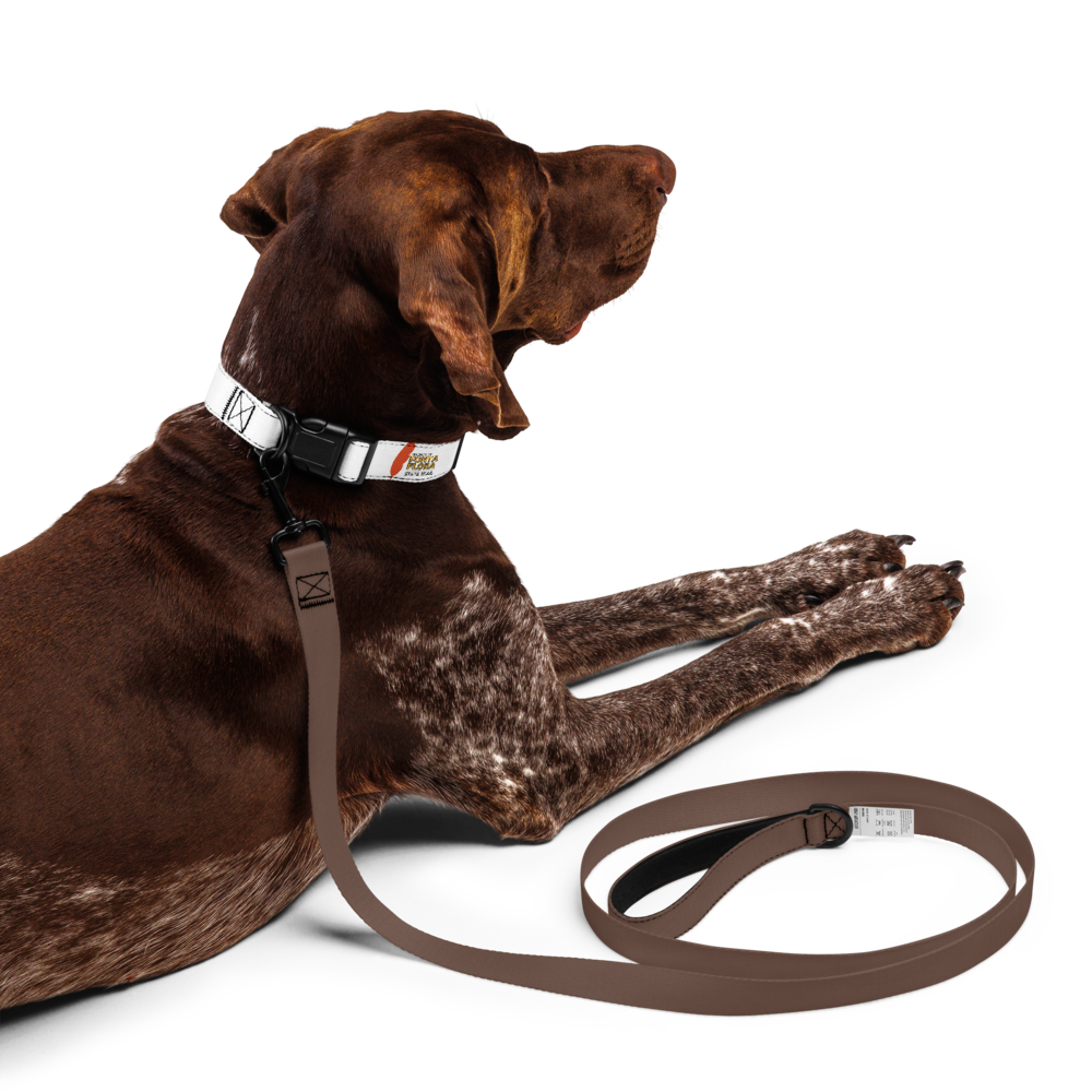 pet-collar-white-l-front-6a0b17ec9e377.png