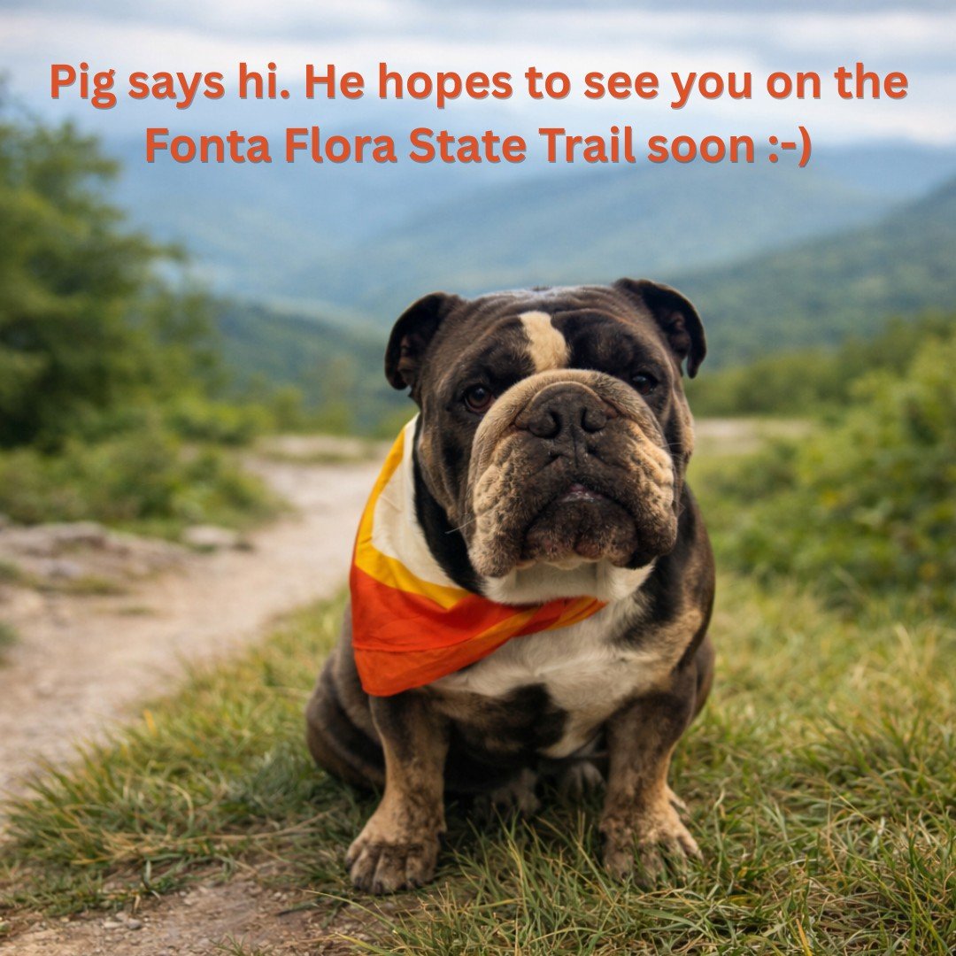 Pig the dog sits on the Fonta Flora State Trail in Western North Carolina, wearing an orange Fonta Flora bandana around its neck, accompanied by a caption saying the dog hopes to see you on the Fonta Flora State Trail.