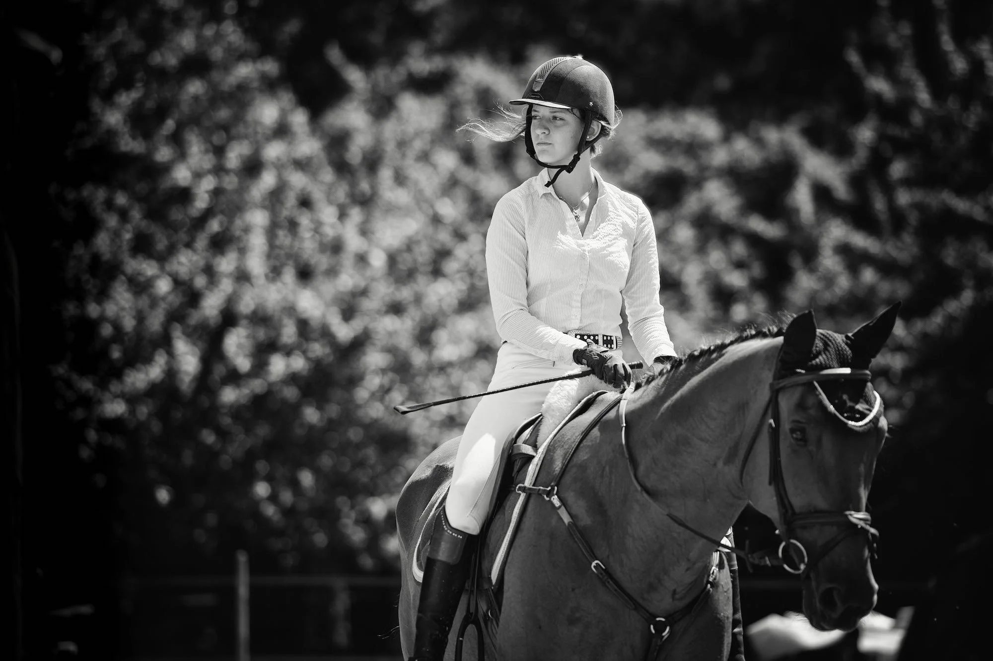 Aniko Towers Photo Imola Showjumping -142.jpg
