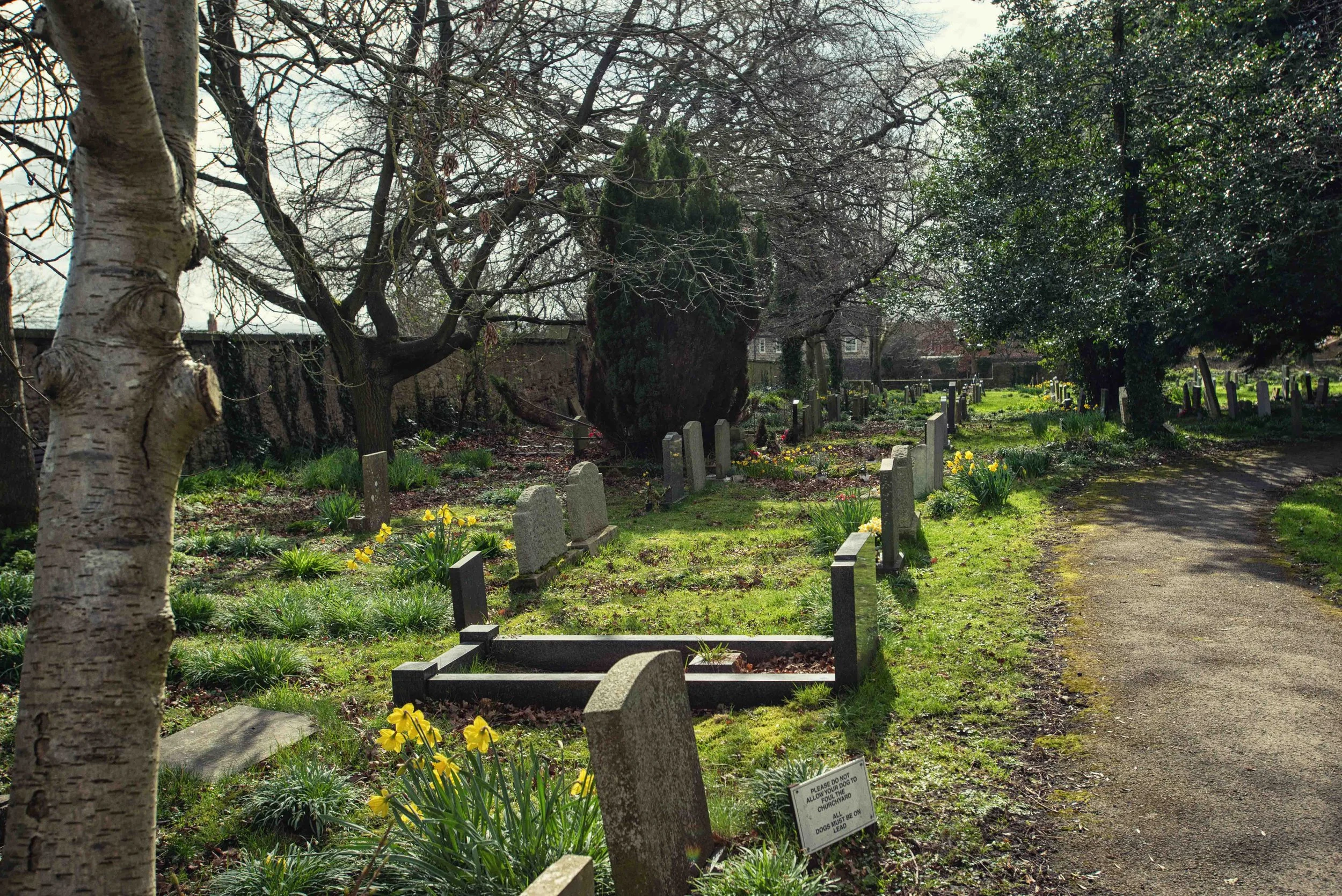 church yard a-5.jpg