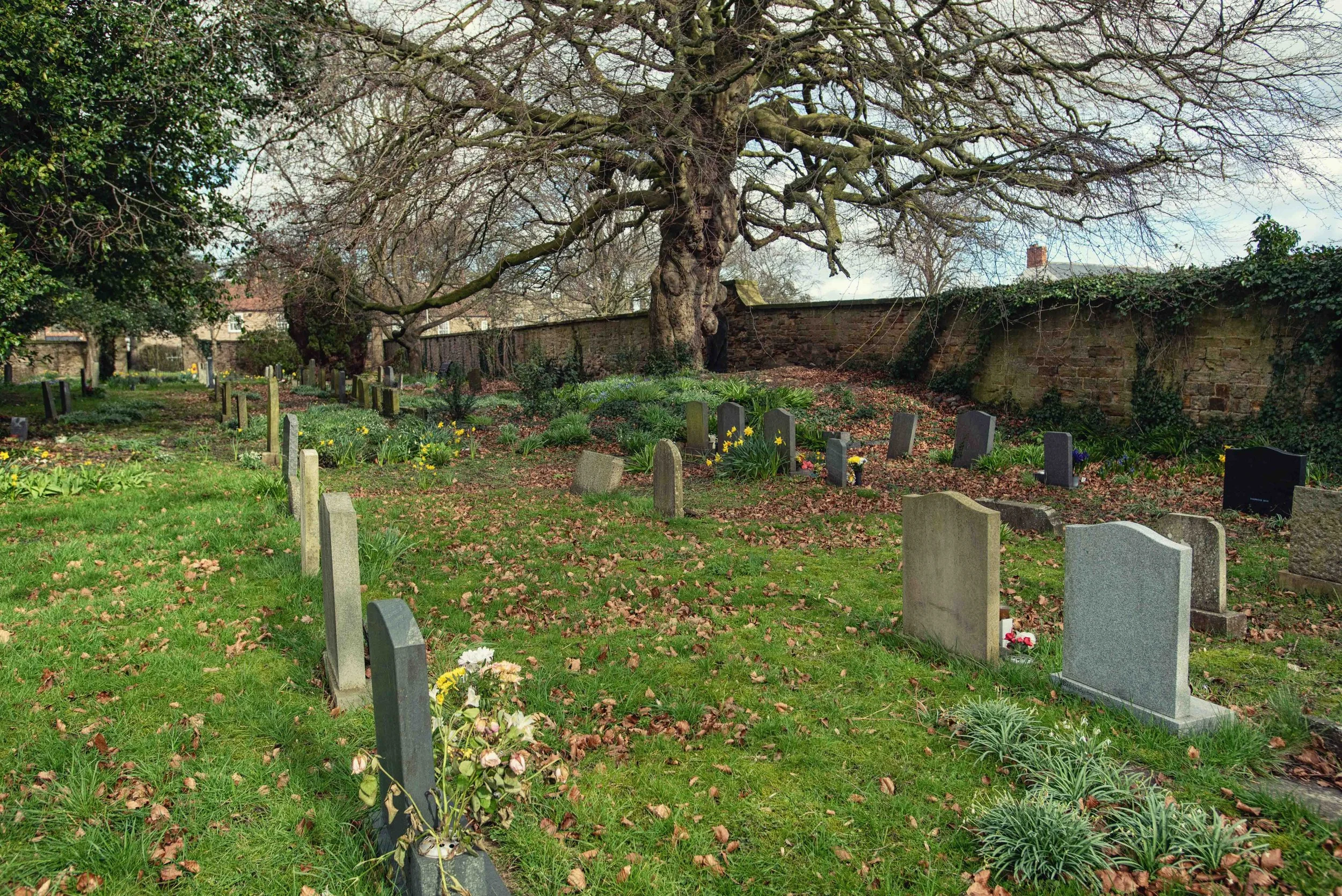 church yard a-10.jpg