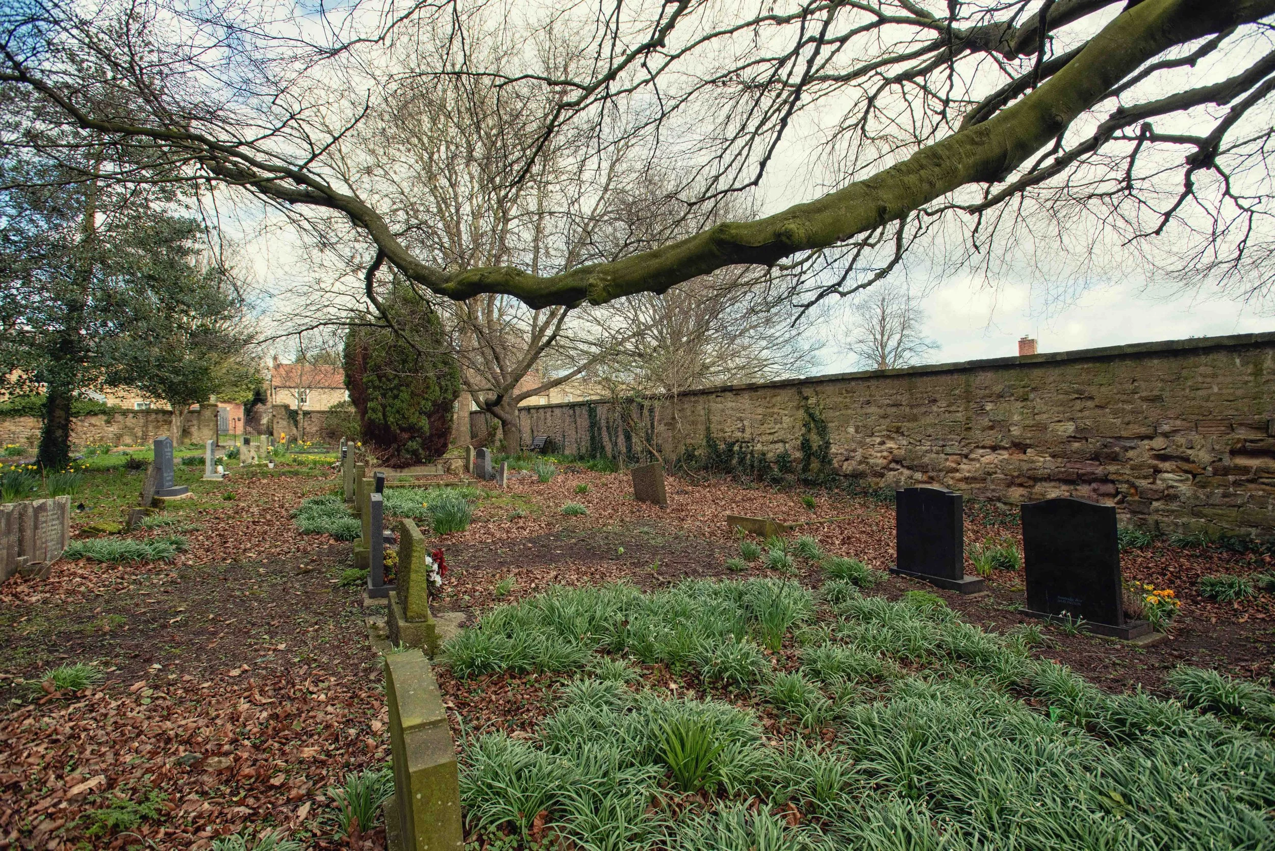 church yard a-6.jpg