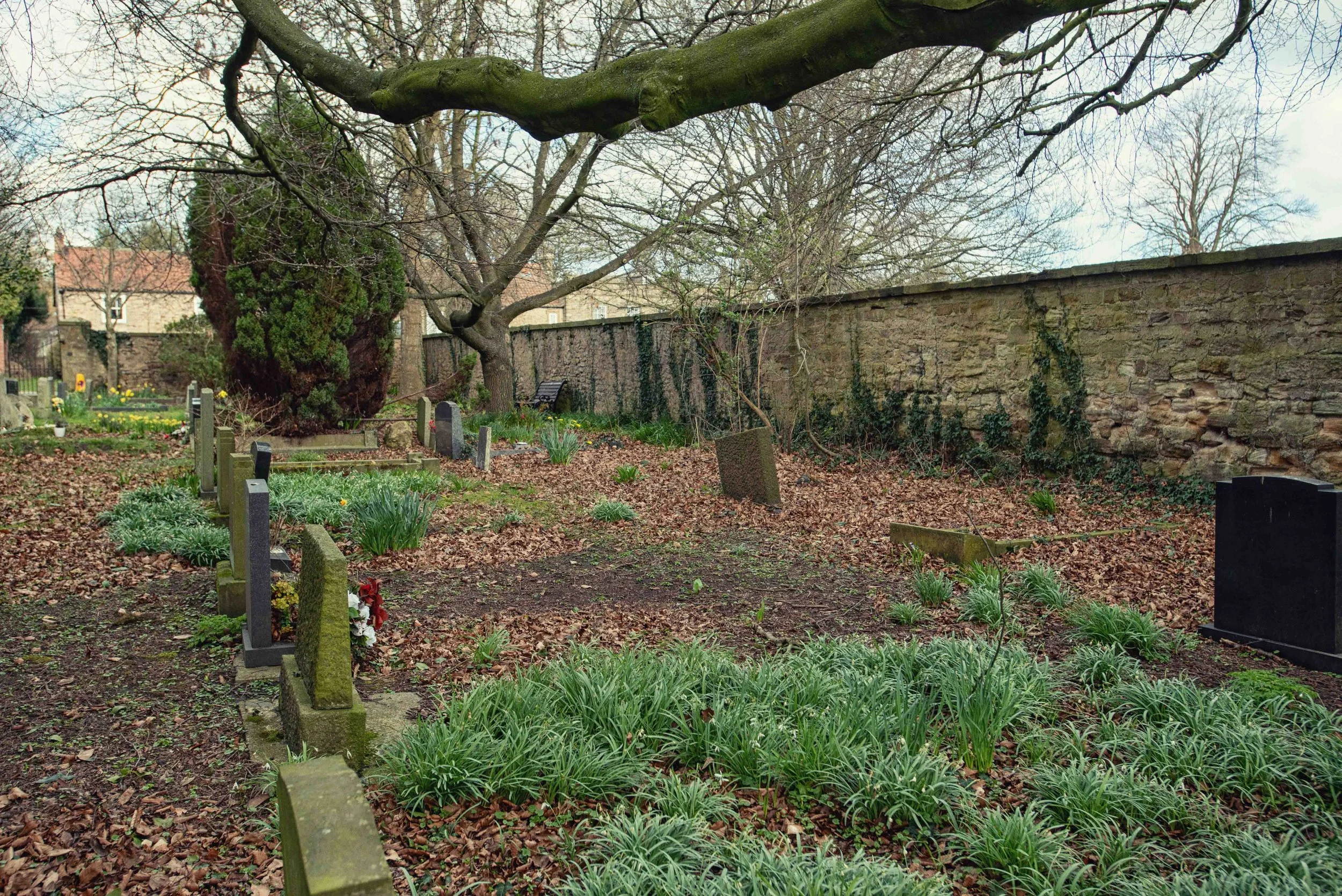 church yard a-7.jpg