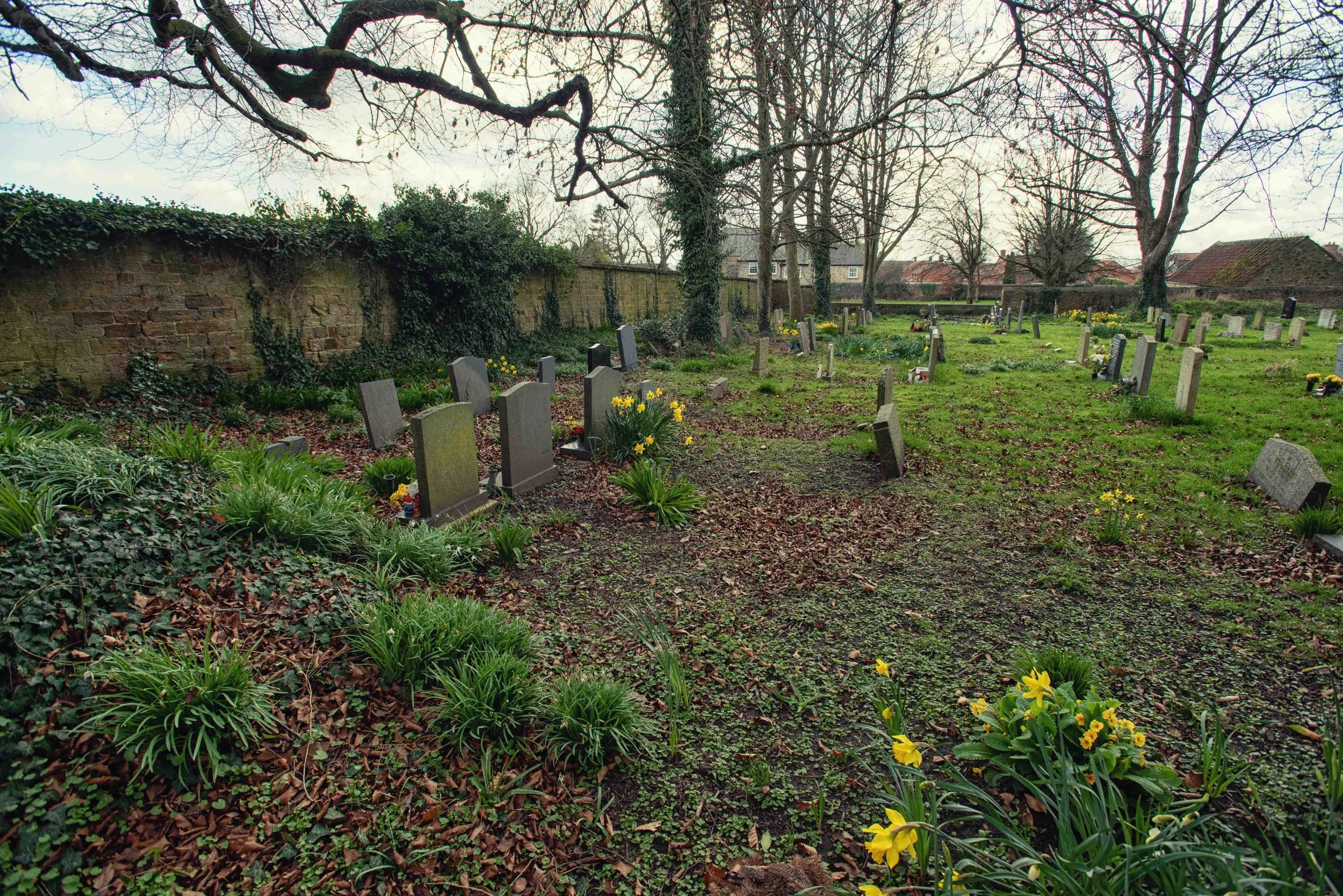 church yard a-9.jpg
