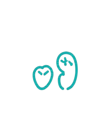 IMG_3630.PNG