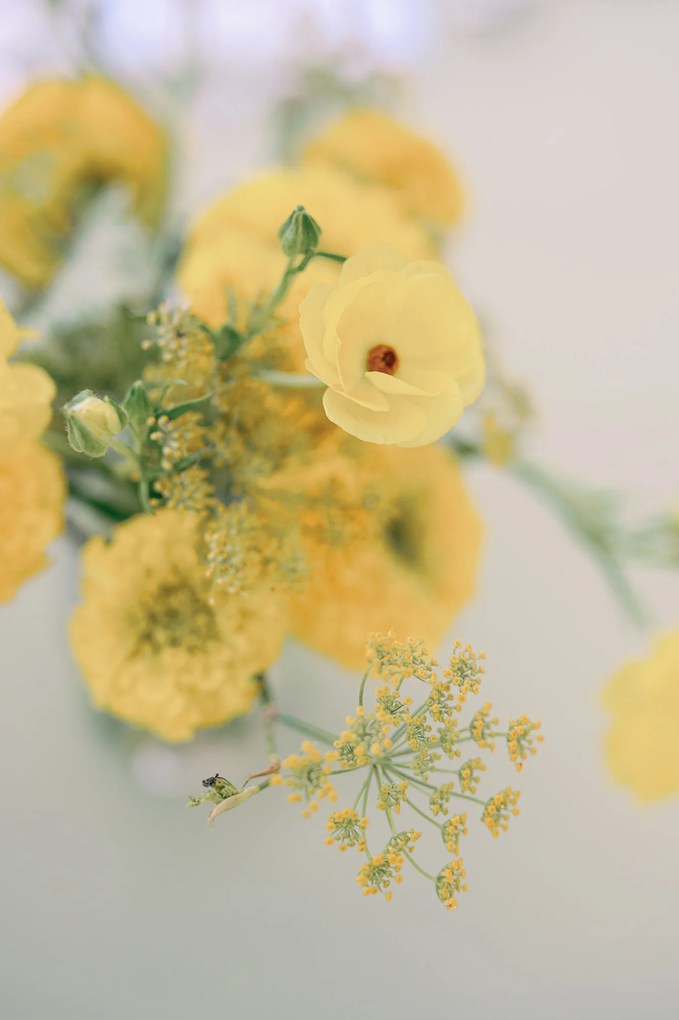 Summer outdoor Welcome Party with yellow flowers  // C & W