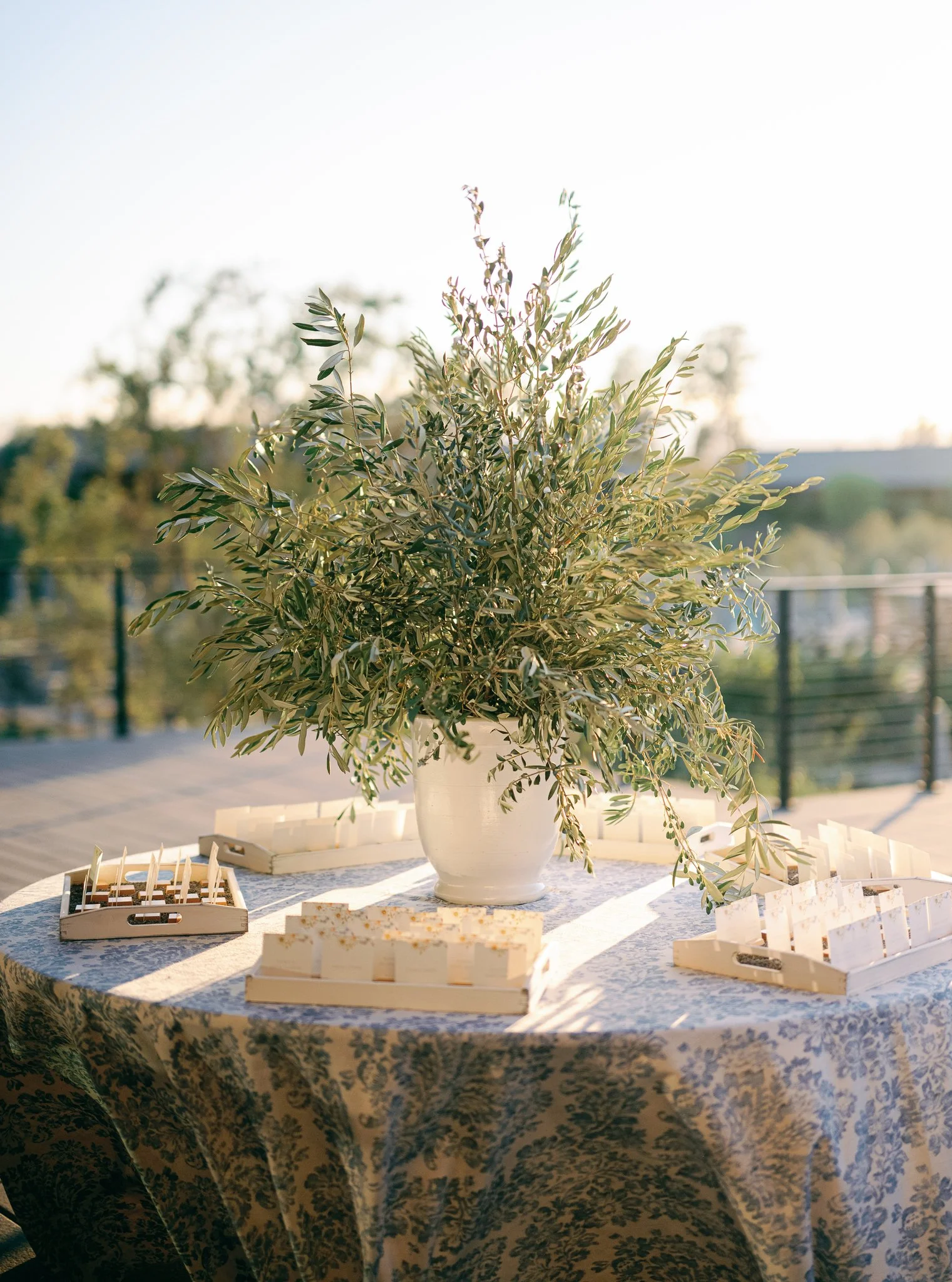 Chelsea + Will Wedding (1147 of 1534).jpg