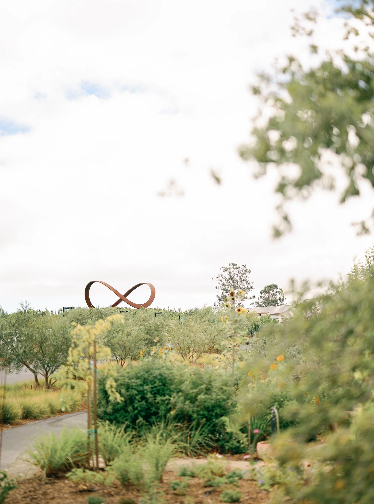 Chelsea + Will Wedding (1 of 1534).jpg