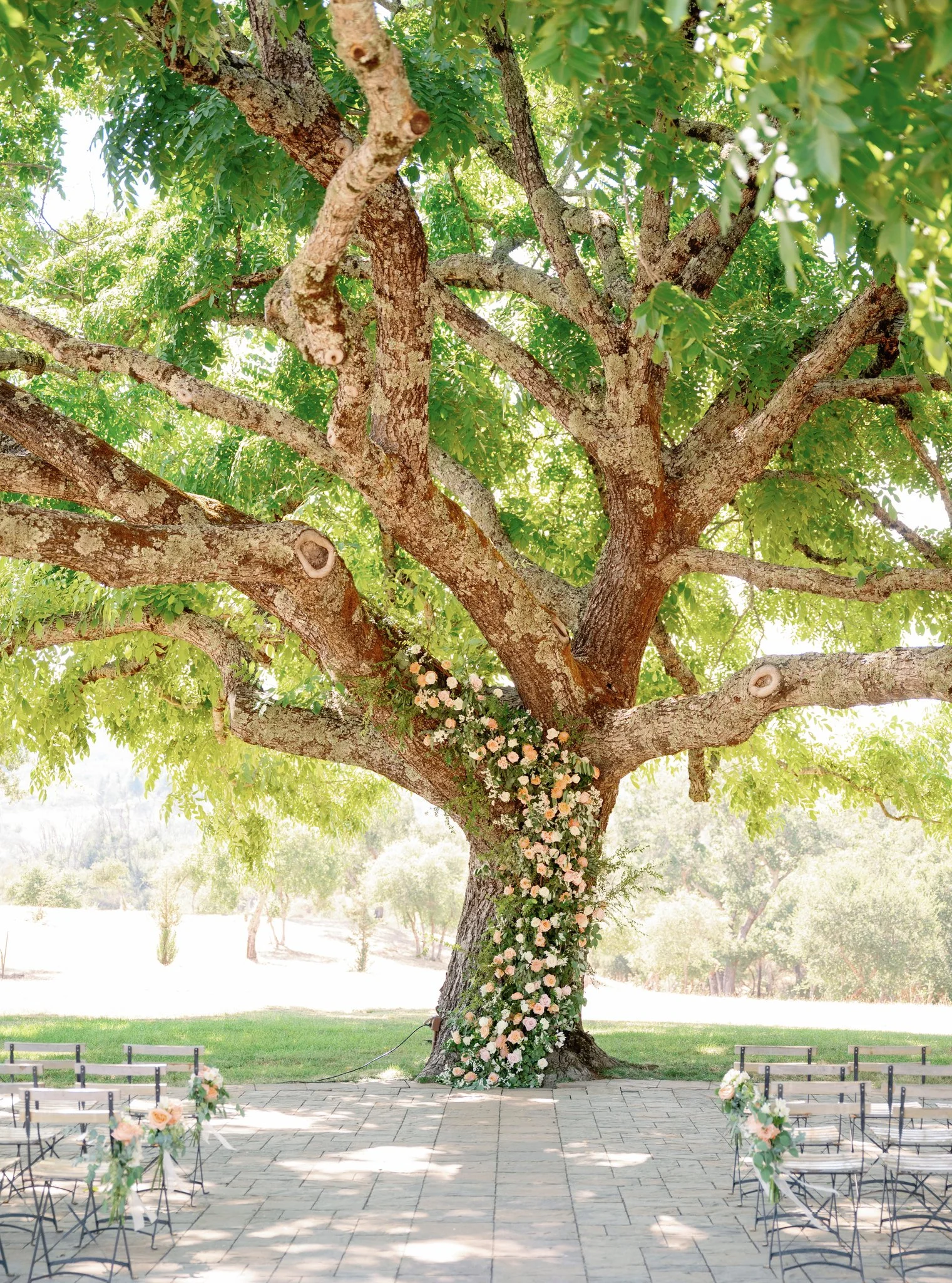 Emily-Gordon-Wedding (70 of 1038).jpg