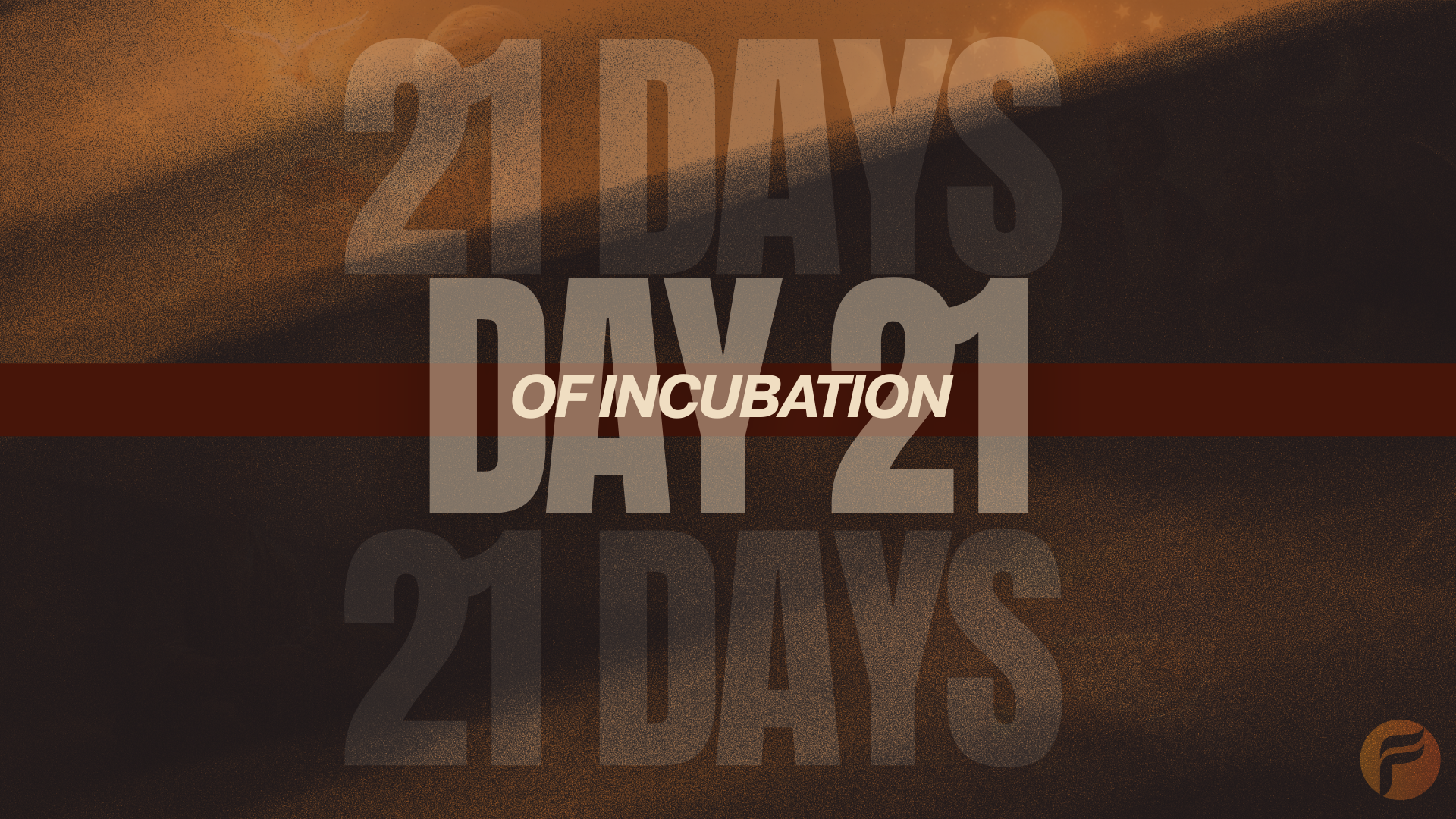 Day 21 - From Incubation to Revelation