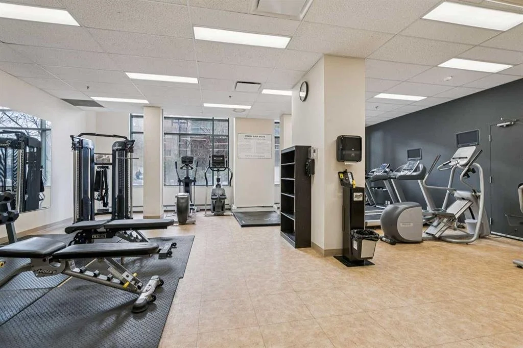 Empty gym with exercise machines, treadmills, ellipticals, weight bench, and gym equipment near large windows