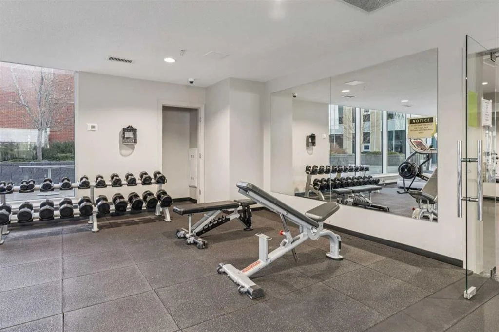 Empty gym workout room with dumbbells, weight bench, and mirror.