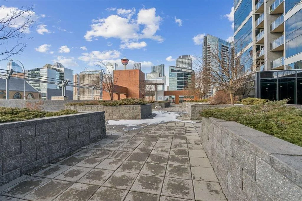 Urban cityscape with high-rise buildings, a blue sky with clouds, leafless trees, and a paved outdoor terrace with planters.