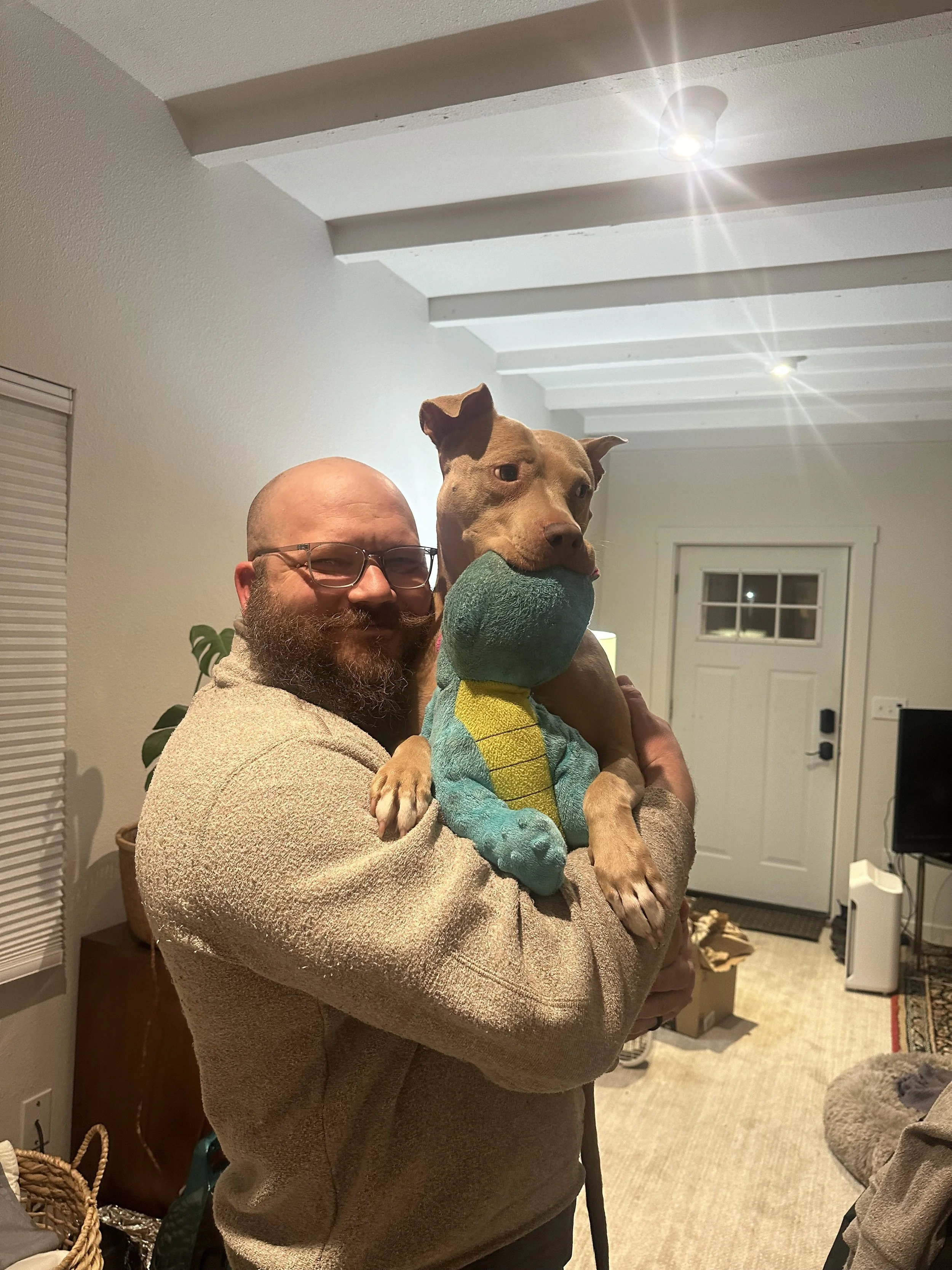 A man with glasses and a beard holding a dog dressed in a colorful lizard costume inside a house.