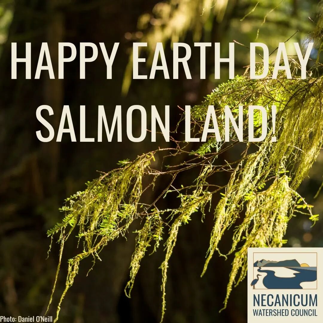 The Necanicum is a piece of the puzzle that makes up Salmon Land on the Pacific Coast, and we are so proud to be a part of this community. 

Happy #earthday to all of our friends, partners and colleagues. 

Don't forget to join us tomorrow for one mo