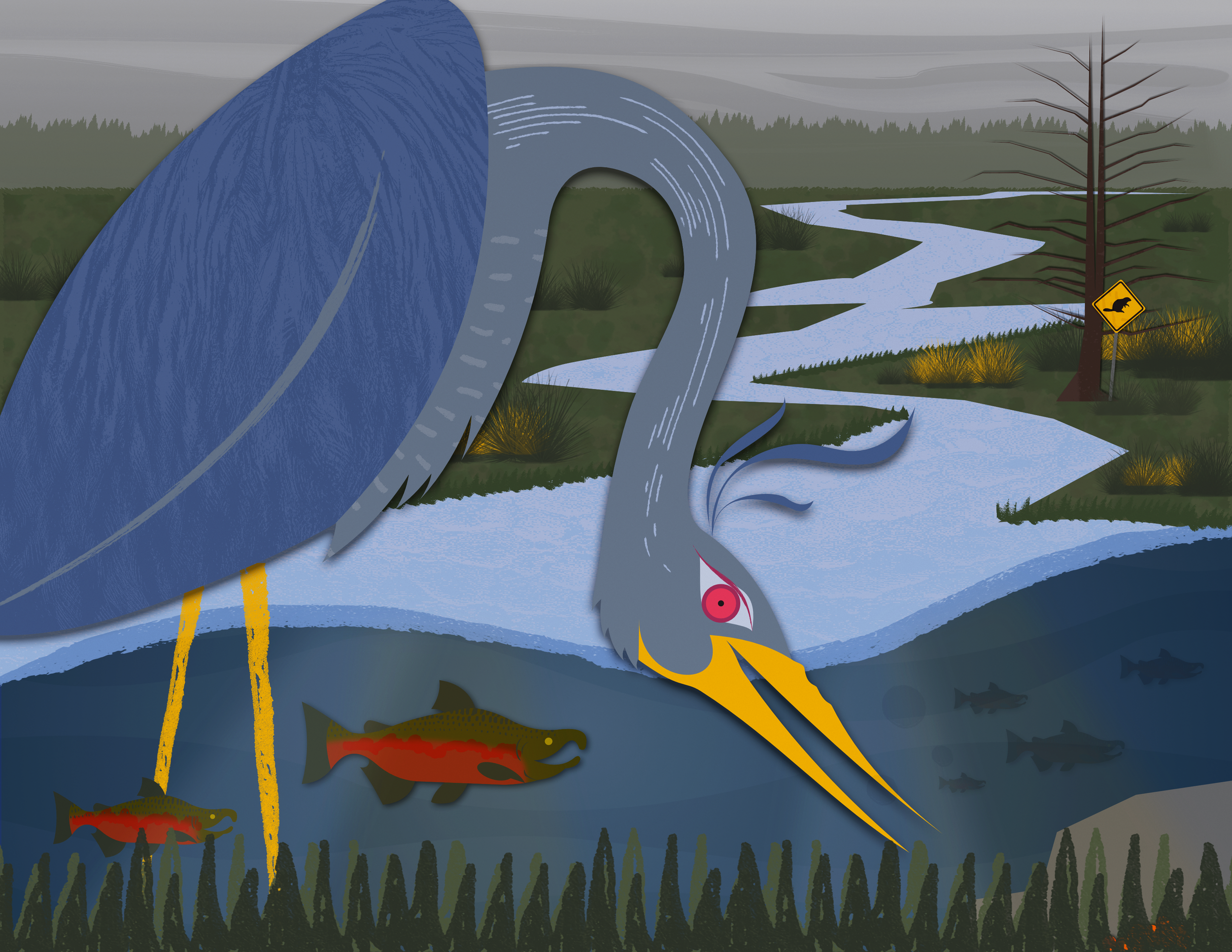 Thompson Creek Willow Planting with NCLC