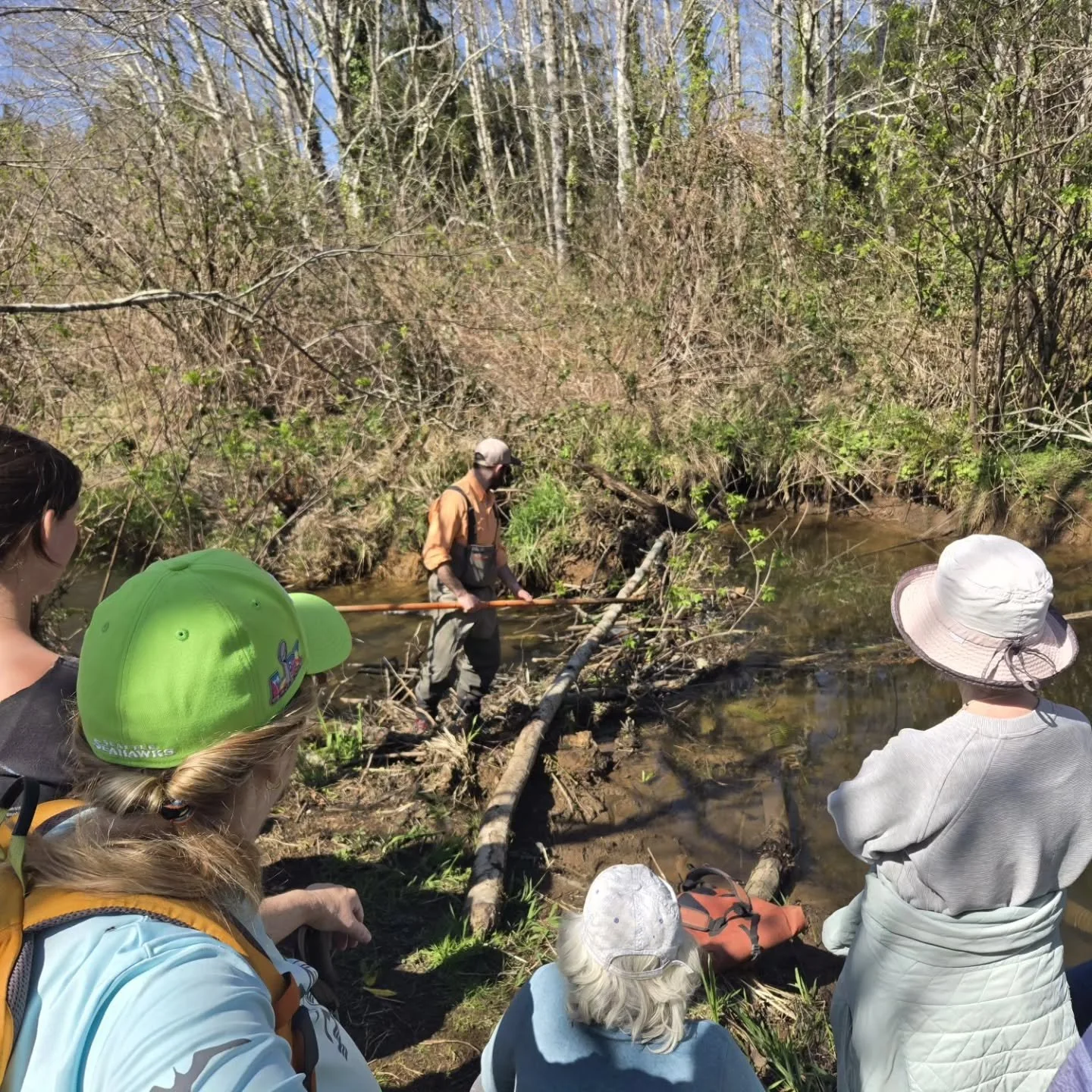 We hosted a fantastic beaver walk at Thompson Creek in partnership with @nclctrust, welcoming 26 nature enthusiasts!

Conrad Ely, a Beaver Conservation Biologist with @myodfw, led us on an insightful journey to learn about beavers in our watershed, h