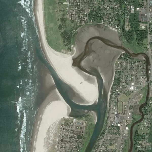 Estuary Clean up Day 