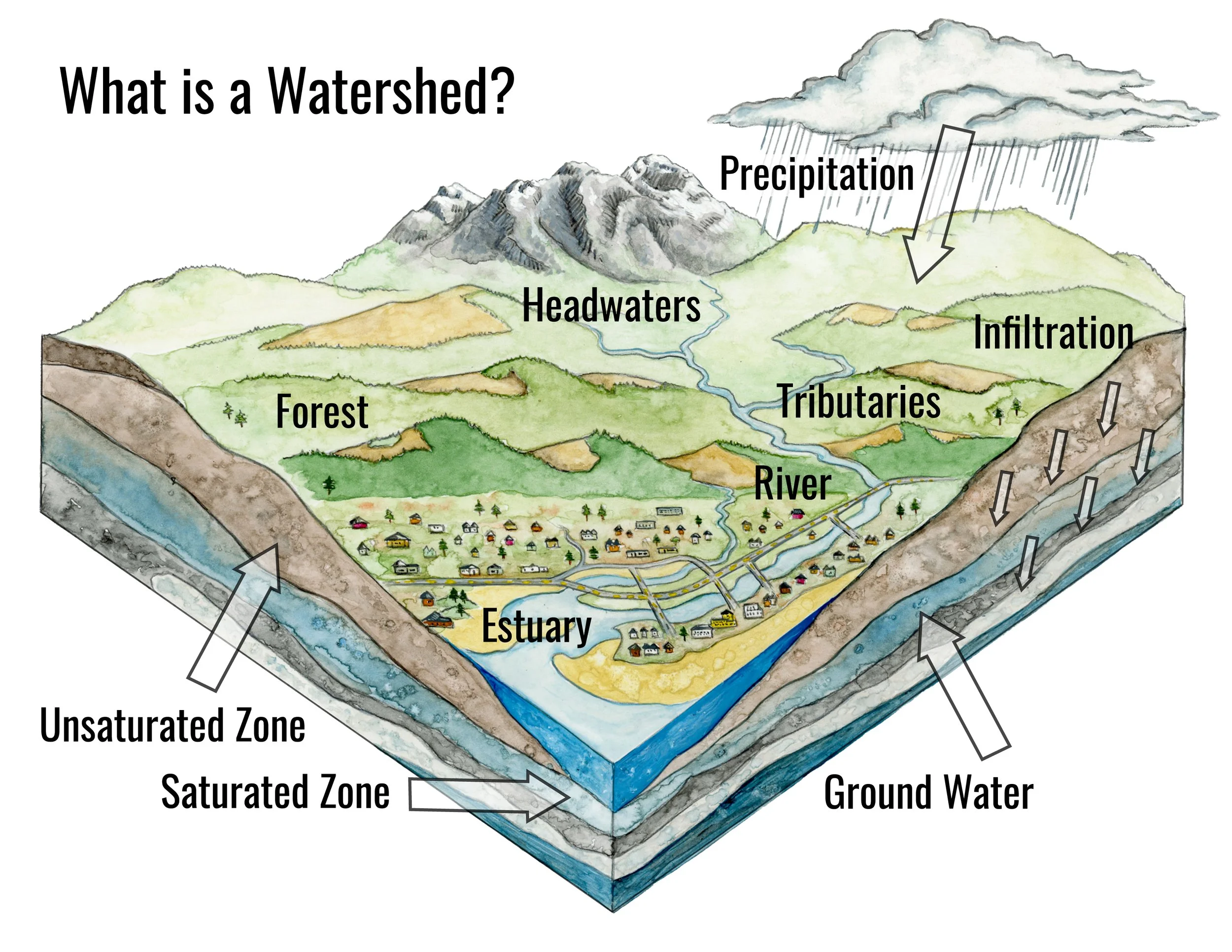 Labeled Watershed Diagram At Walter Lawrence Blog Labeled Watershed Diagram At Walter Lawrence Blog