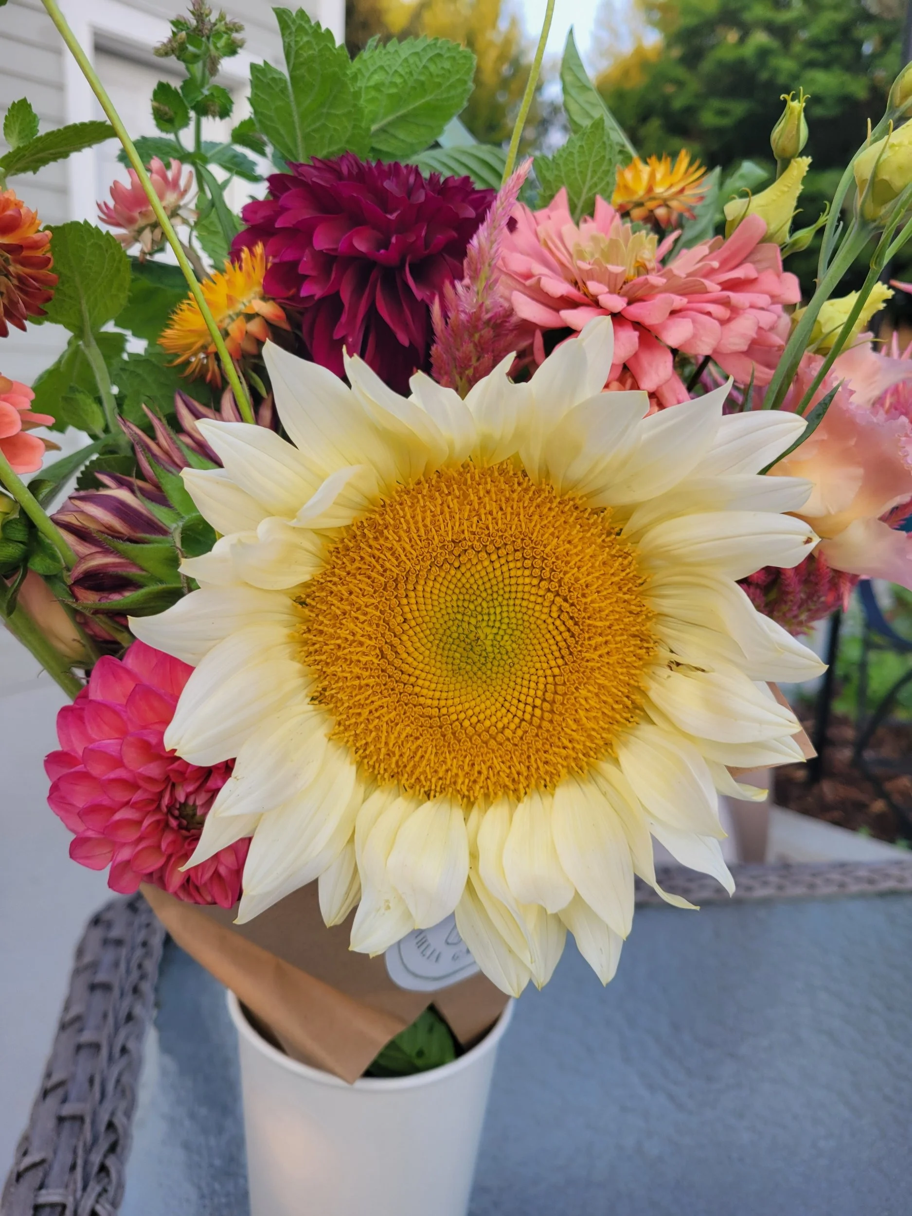 processed_1000065819.jpg