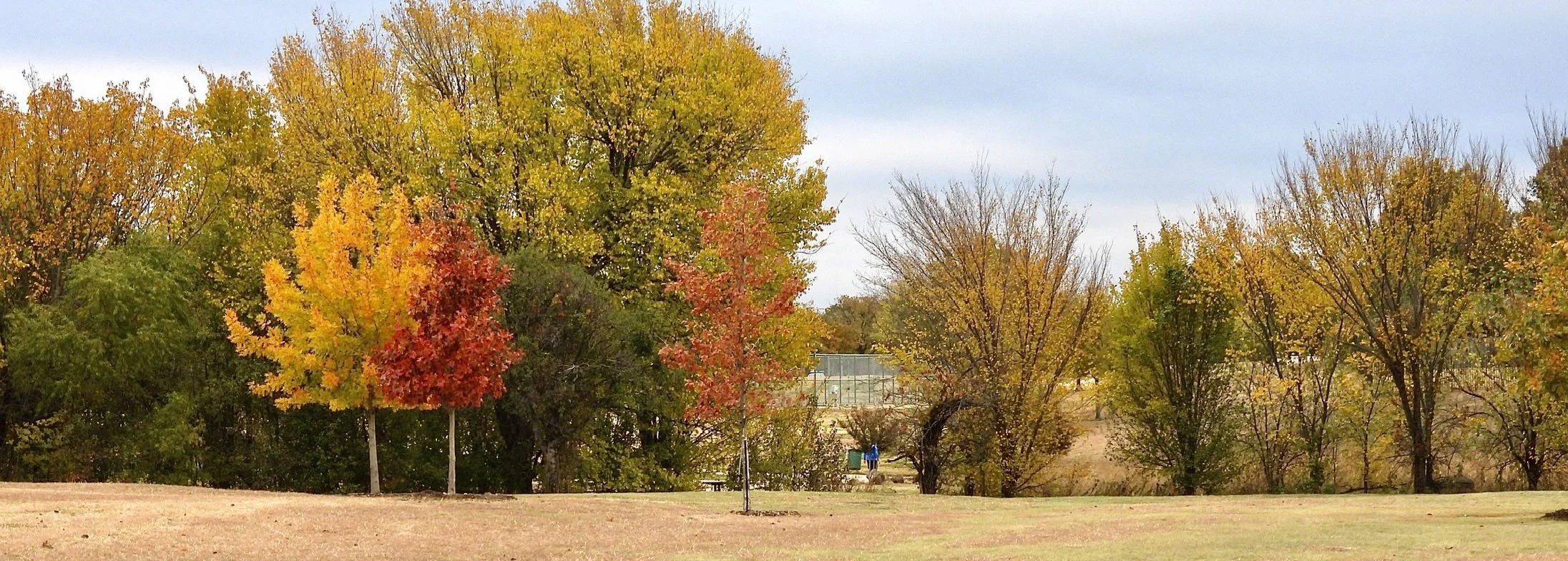 Banner - Photo Gallery 2.jpeg