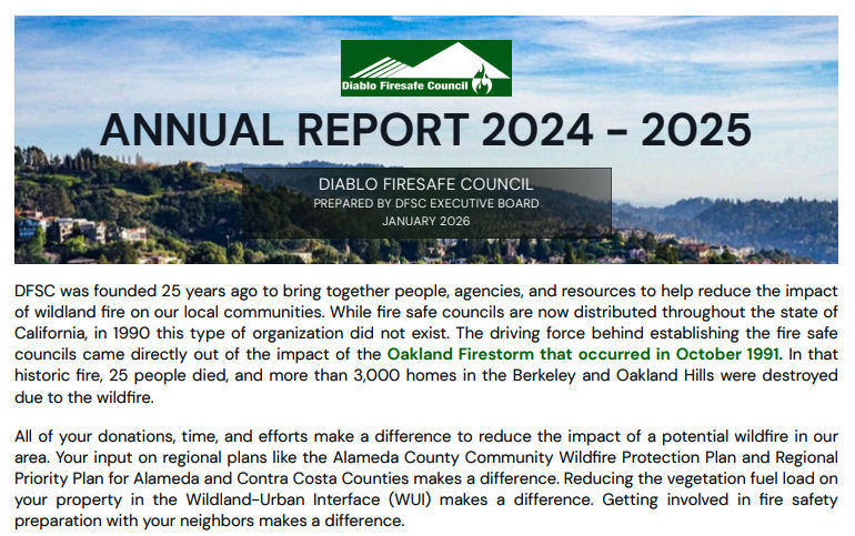 Annual Report 2024-2025
