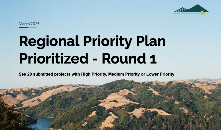 Regional Priority Plan Prioritized - Round 1