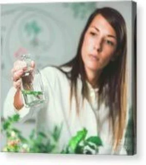 Experienced practitioners
