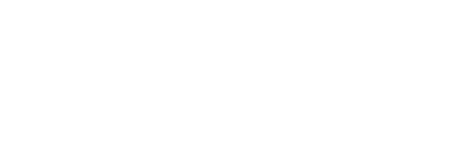 Dexter and The Moonrocks