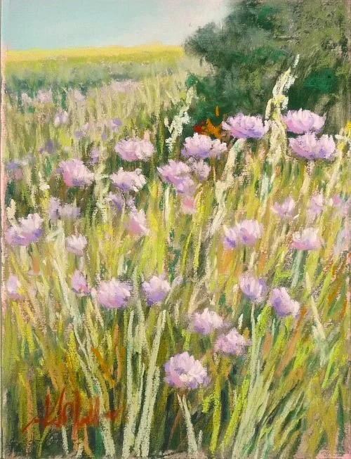 Bee Balm and Canola