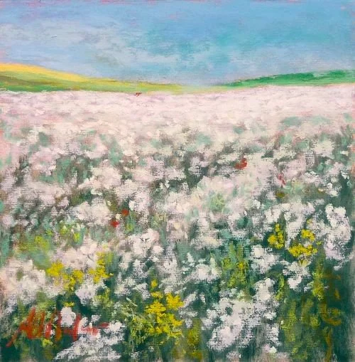 White Field