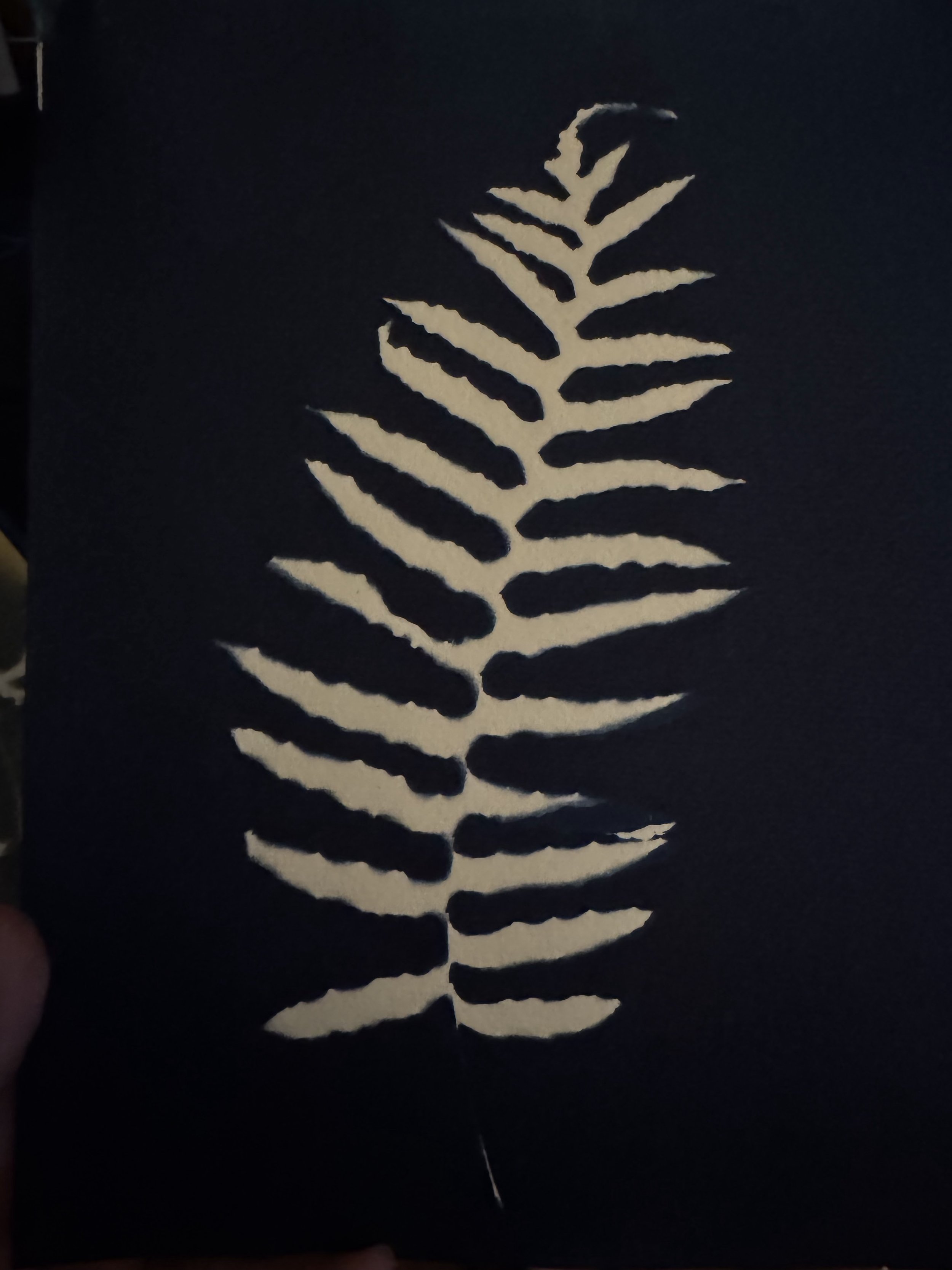 Fern No. 1