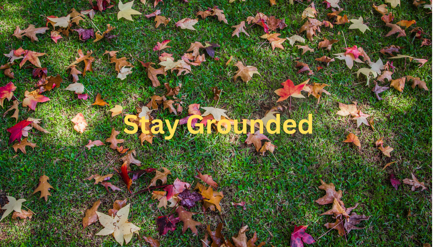 From Reactive to Relational: How to Stay Grounded in Conflict