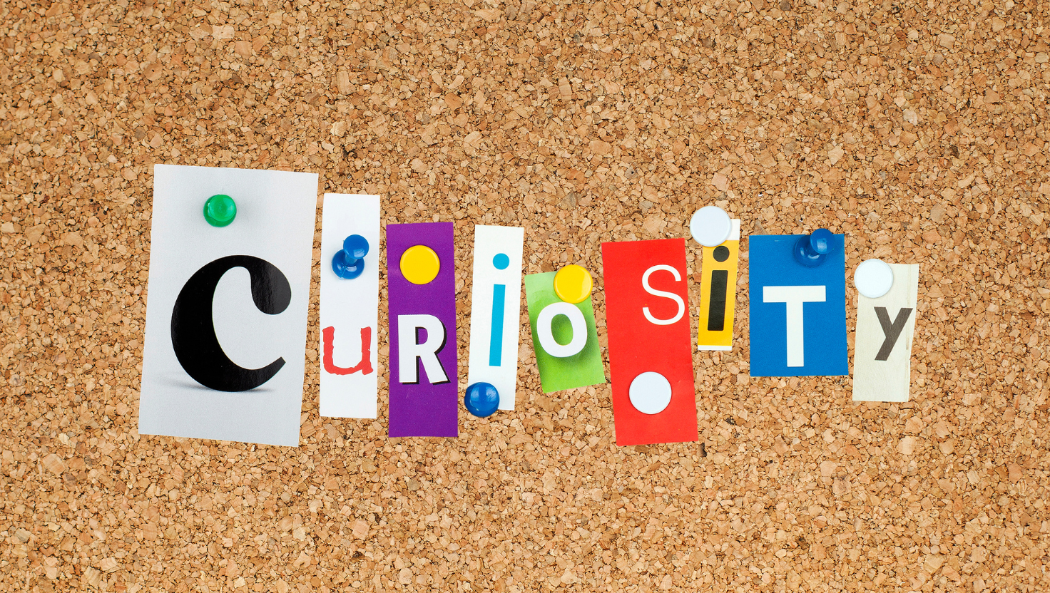 Turning Criticism into Curiosity