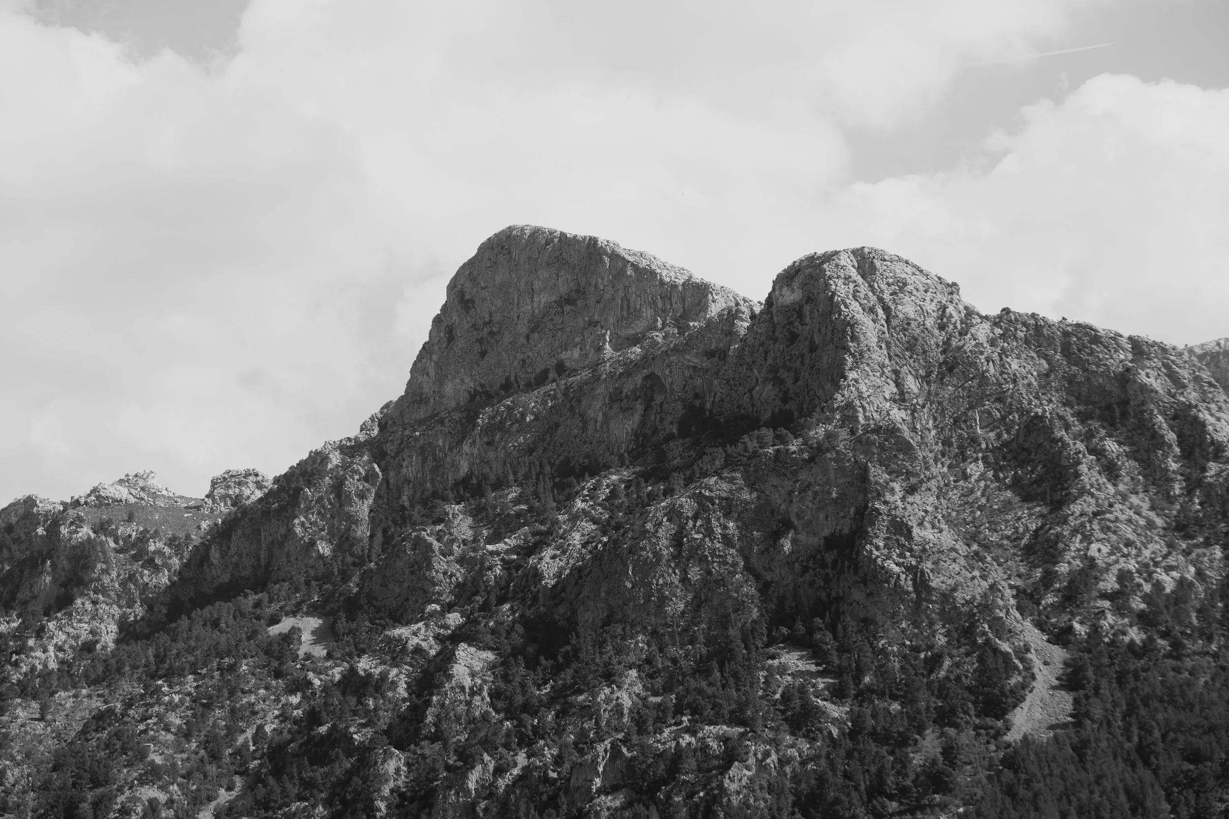 DSCF4016.jpg