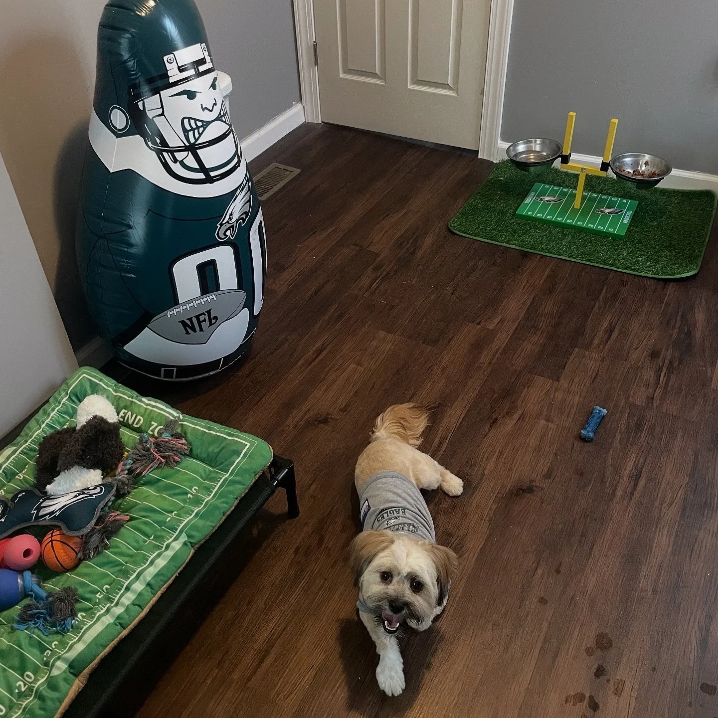 Hurtsy says &lsquo;Go Birds!&rsquo; 🦅💚 Reppin&rsquo; Philly one paw at a time. #FlyEaglesFly #PetsofPhilly&rdquo;