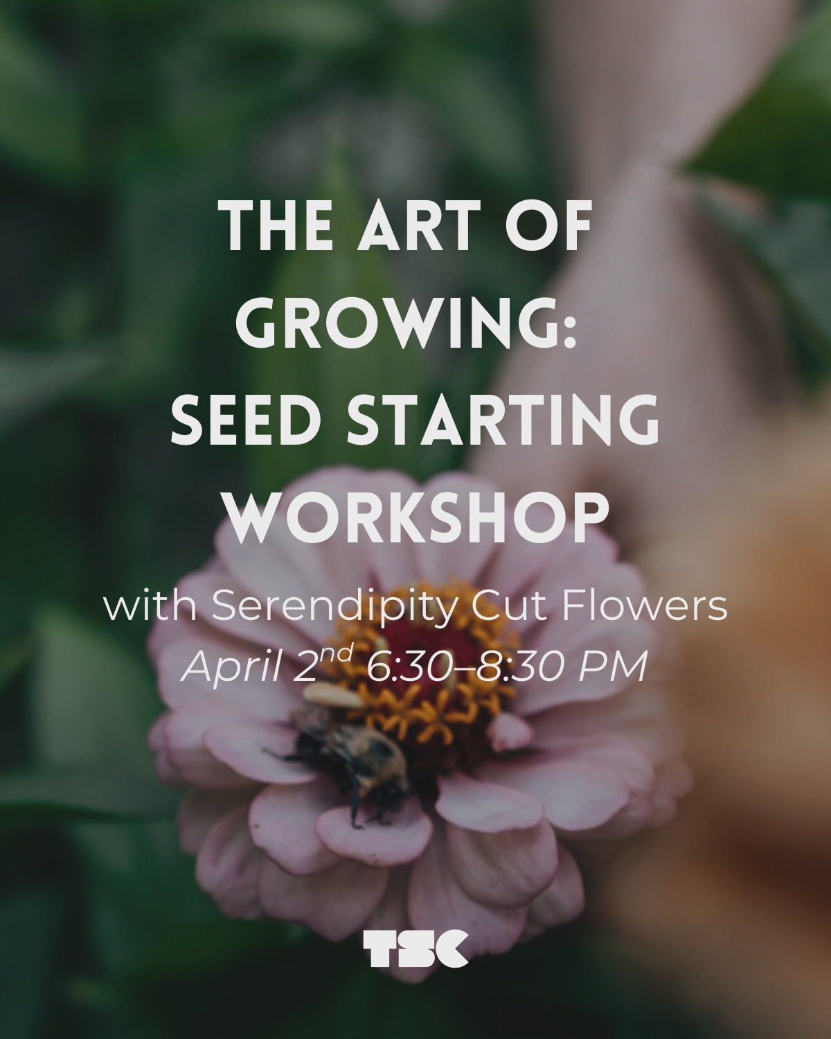 The Art of Growing: Seed Starting Workshop