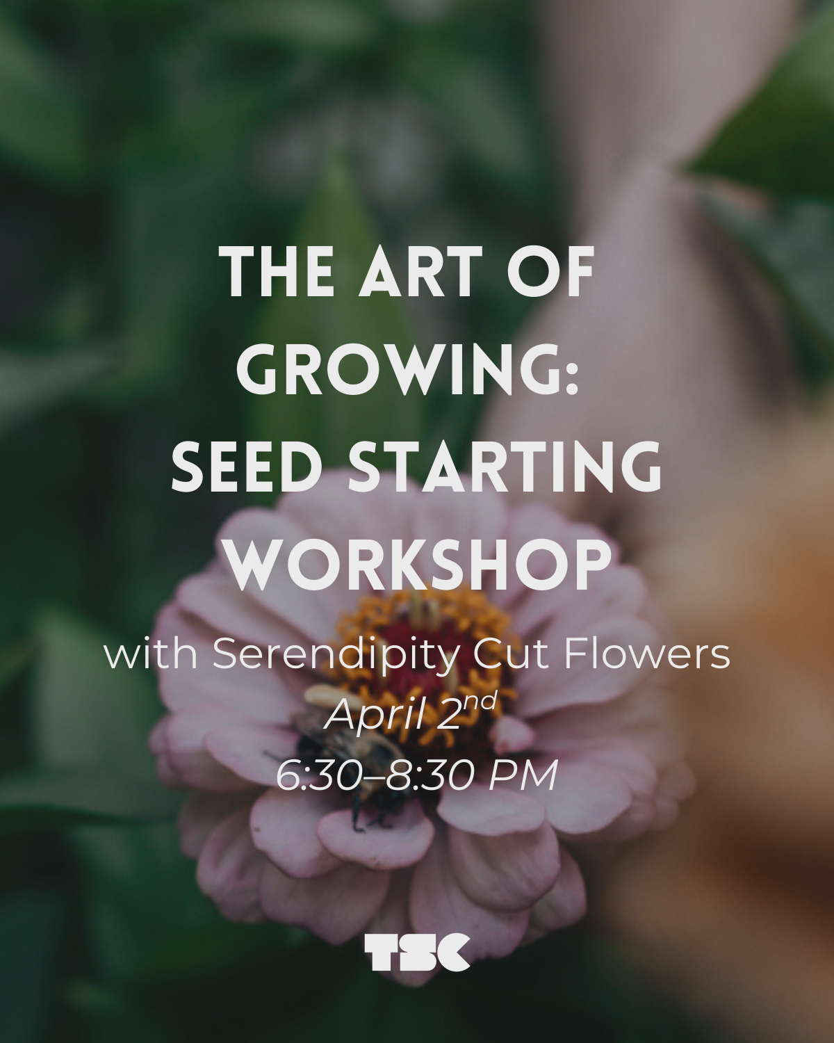 The Art of Growing: Seed Starting Workshop