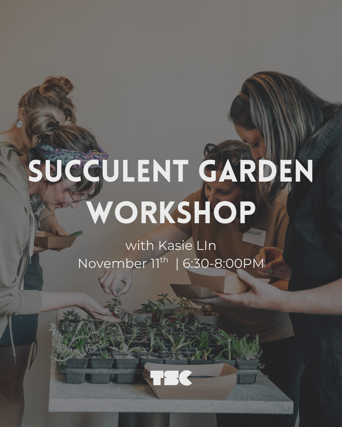 Succulent Garden Workshop