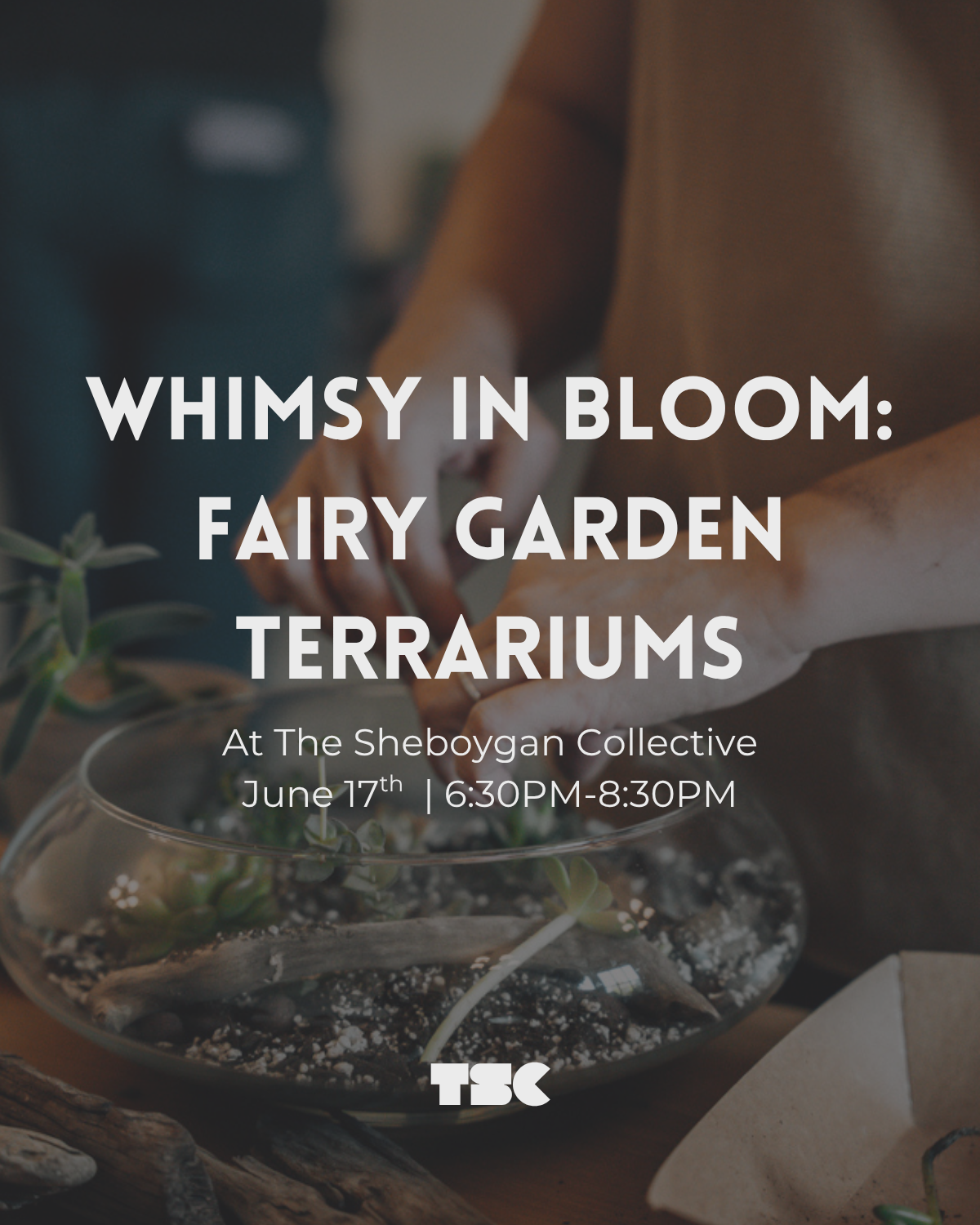 Whimsy in Bloom: Fairy Garden Terrariums