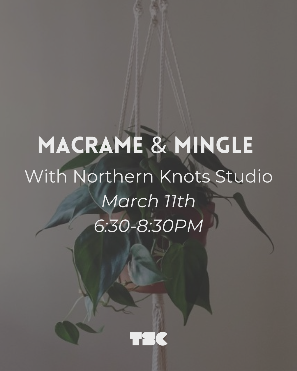 Adult Programs-3.png