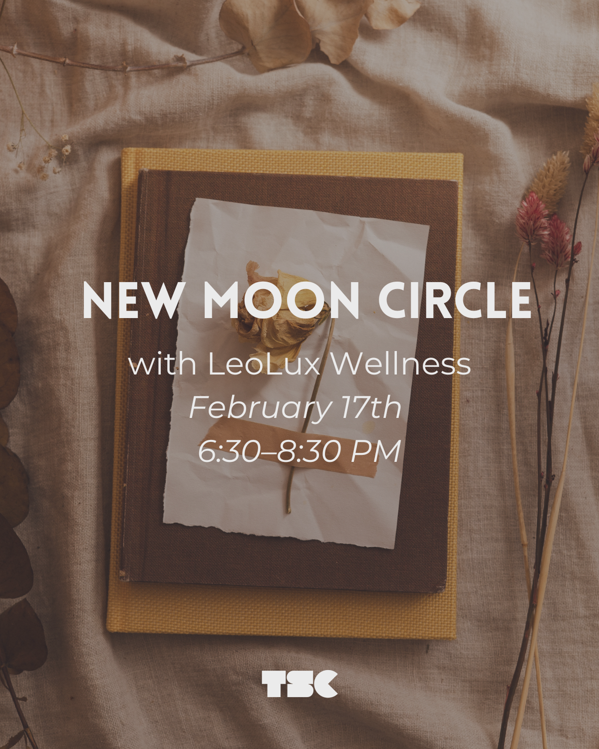 New Moon Circle