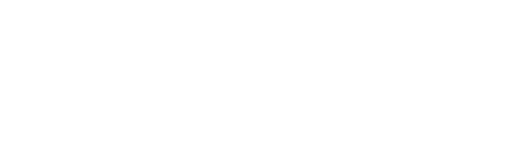 LeadTeam Partners