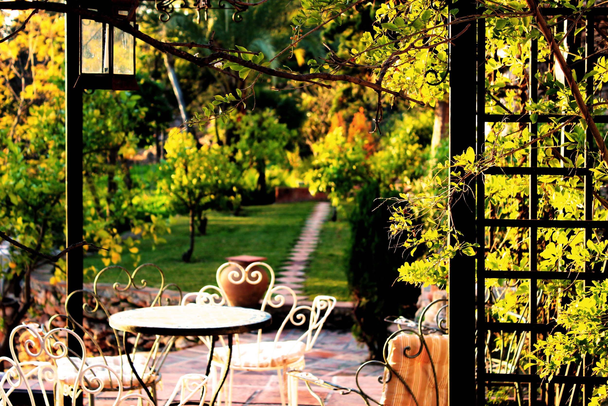 garden.jpeg
