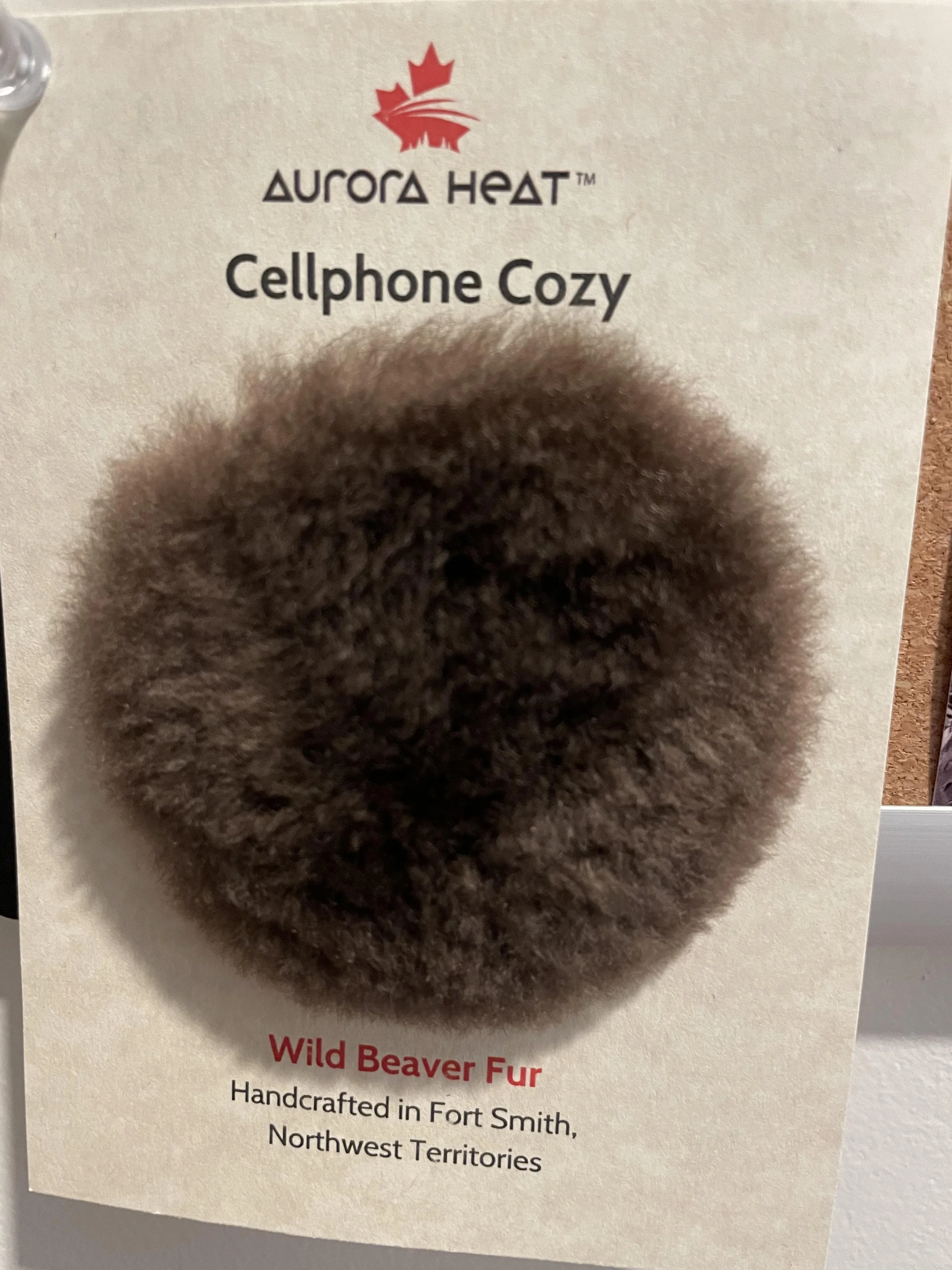 Dialogues of meaning-making part 2: Recorded conversation