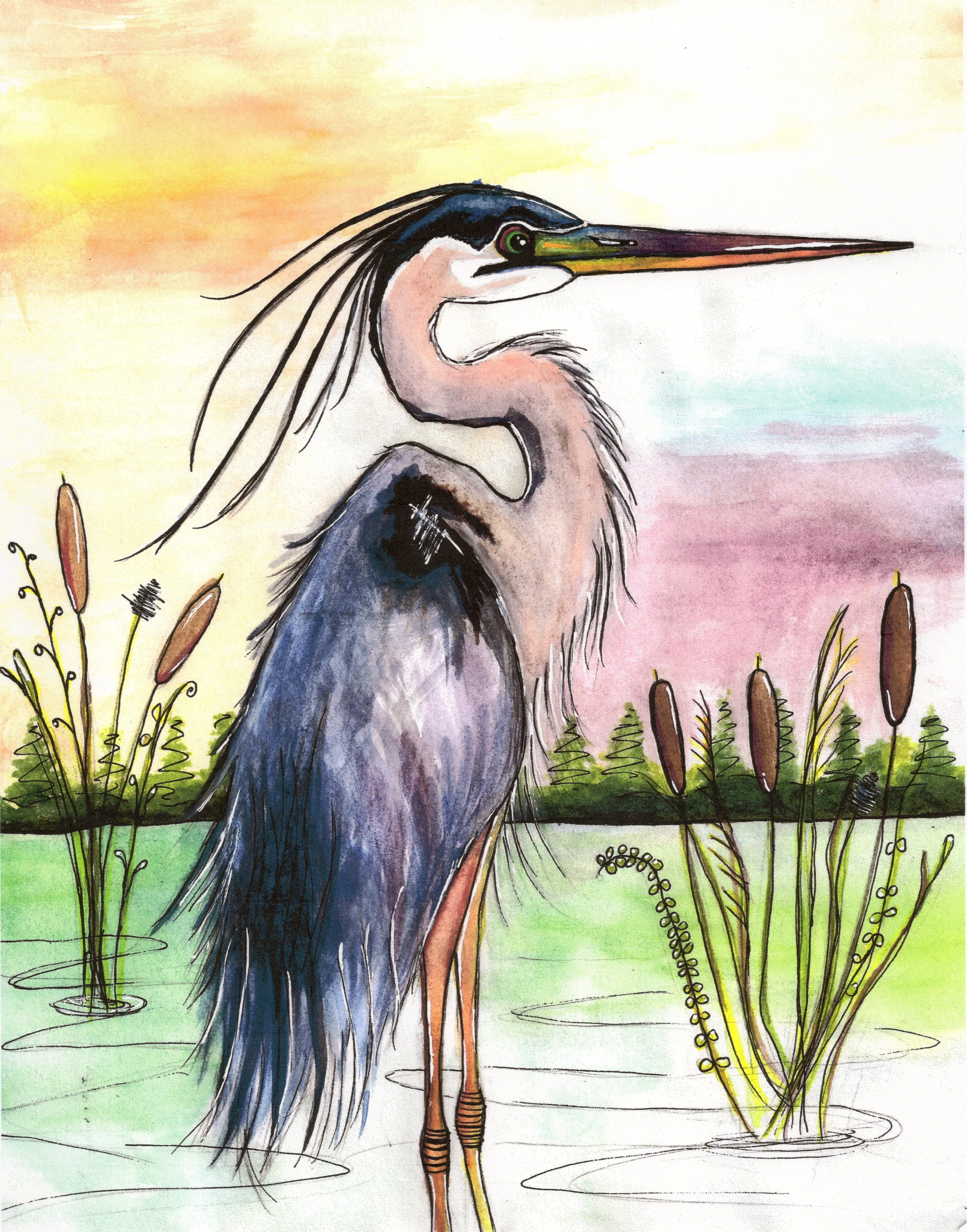 BlueHeron600.jpg