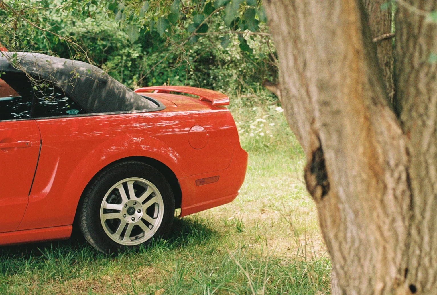 OM-1AE-1Test 16.jpg