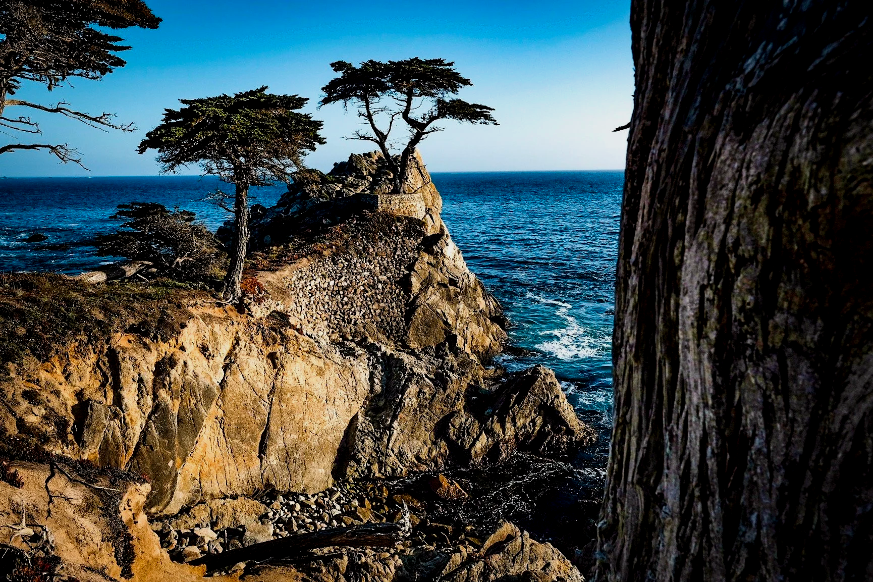 Cliffside with ocean view, rocky shoreline, and trees