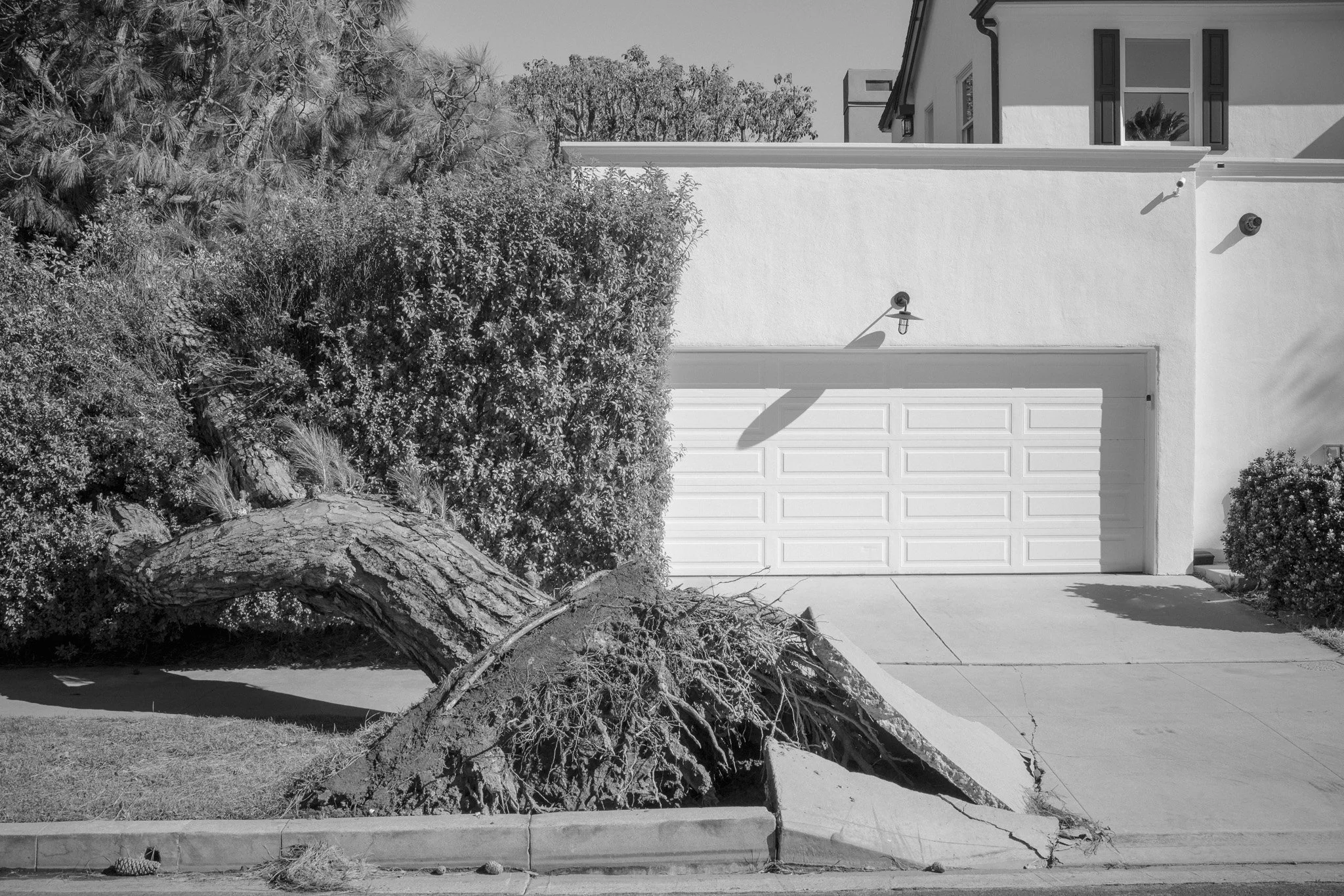 20206-02-LongBeach_1195.jpg